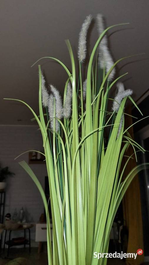 Trawa Sztuczna Ozdobna Wola Podłężna