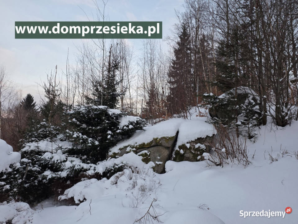 Działka częściowo budowlana z domkiem Przesieka dolnośląskie