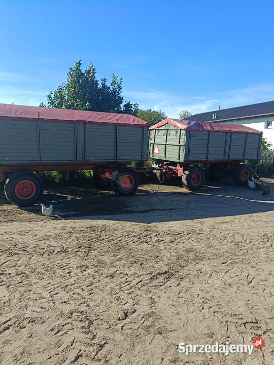 Przyczepy transportowe nieuszkodzony Dygowo sprzedam