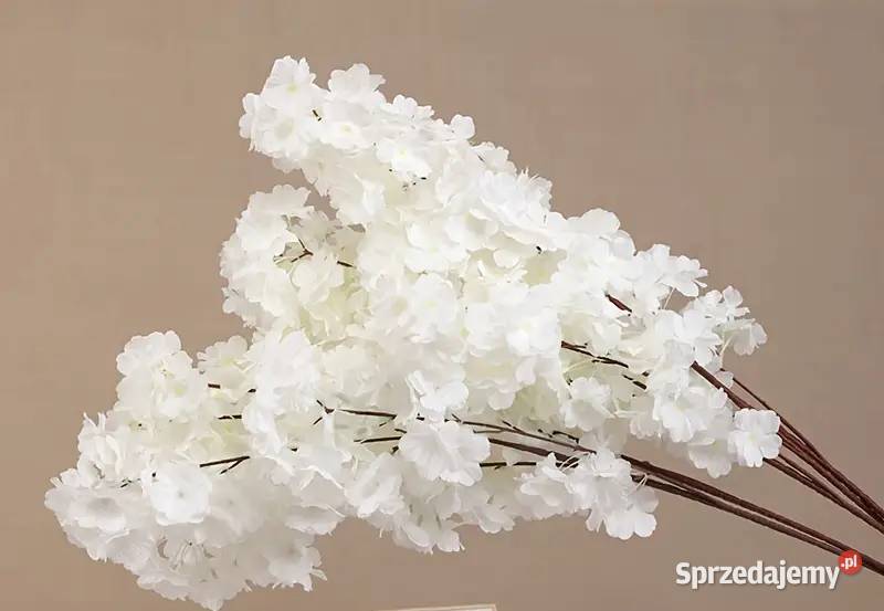 Gałązki wiśni jabłoni Dom i Ogród Żołynia