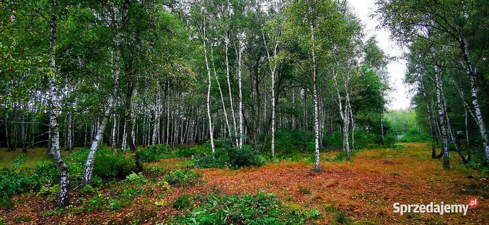 Działka rekreacyjno budowlana 2000m2 łódzkie Czyżeminek sprzedam