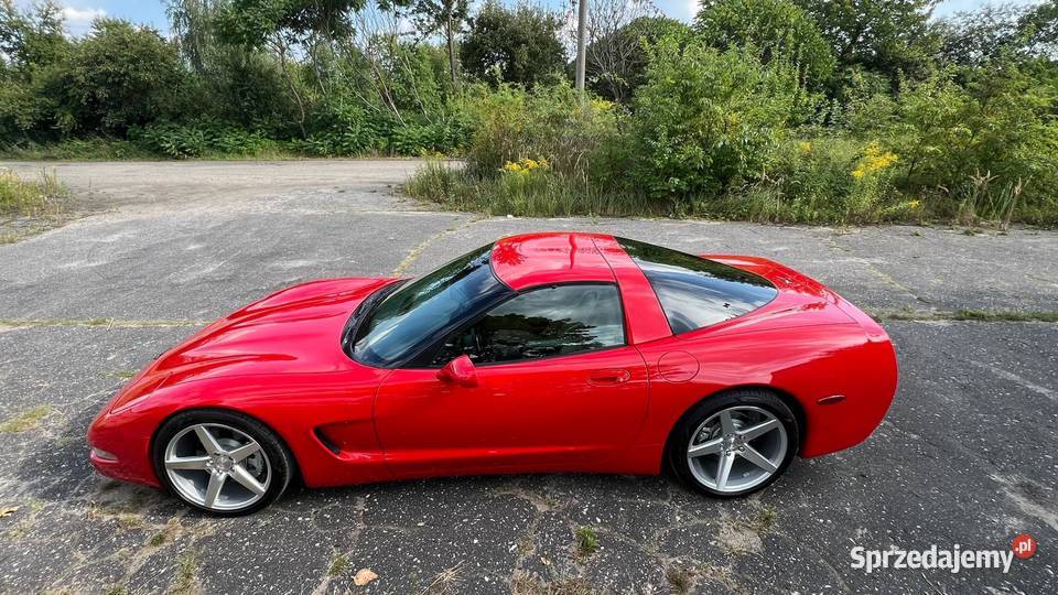 Chevrolet Corvette C5 automatyczna Secemin