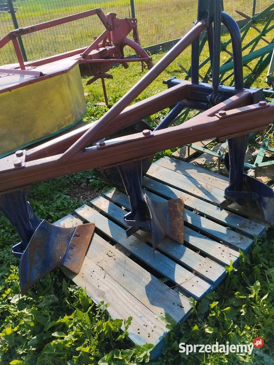 Pług 3 skibowy Pługi Umieszcz sprzedam