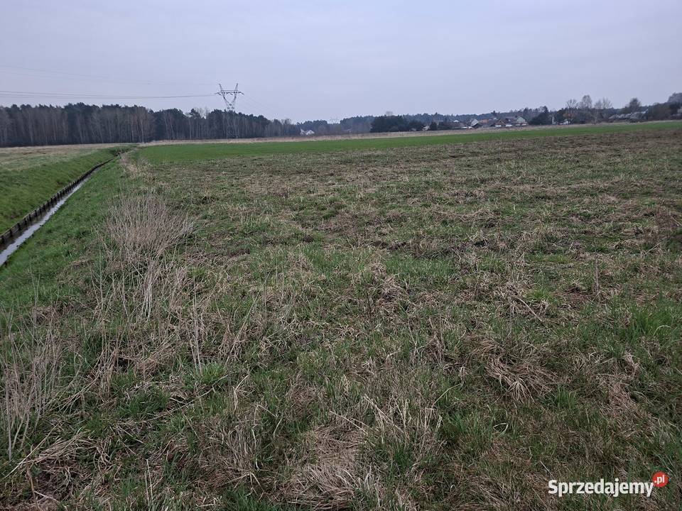 Działki budowlane Włoszczowa