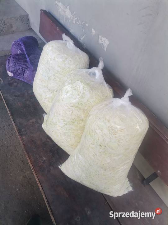 SPRZEDAM KAPUSTA SZATKOWANA SZATKA KAPUSTA Worki Proszowice