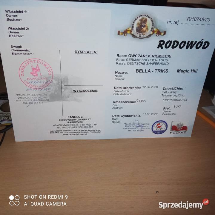 Suka 2 lata Zamość
