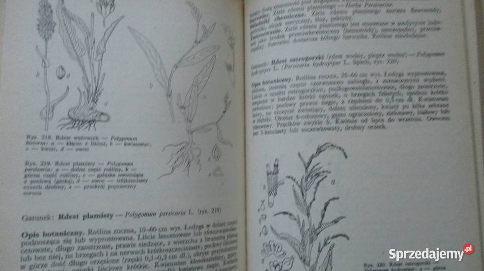 Przewodnik do oznaczania krajowych roślin