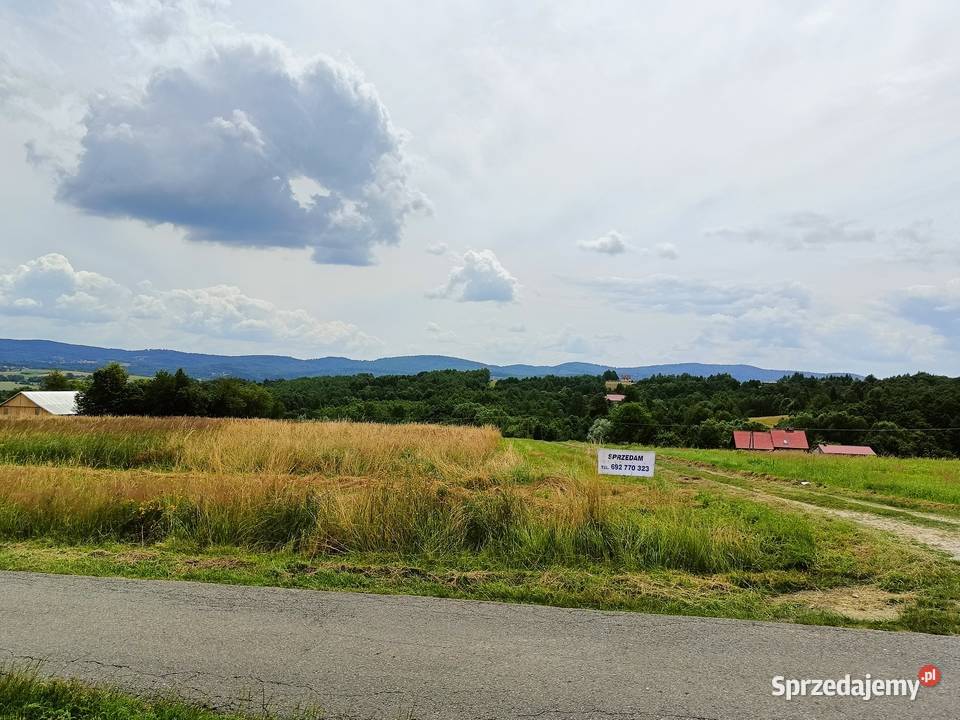 Działka budowlano inwestycyjna w Ryglicach 92m Ryglice sprzedam