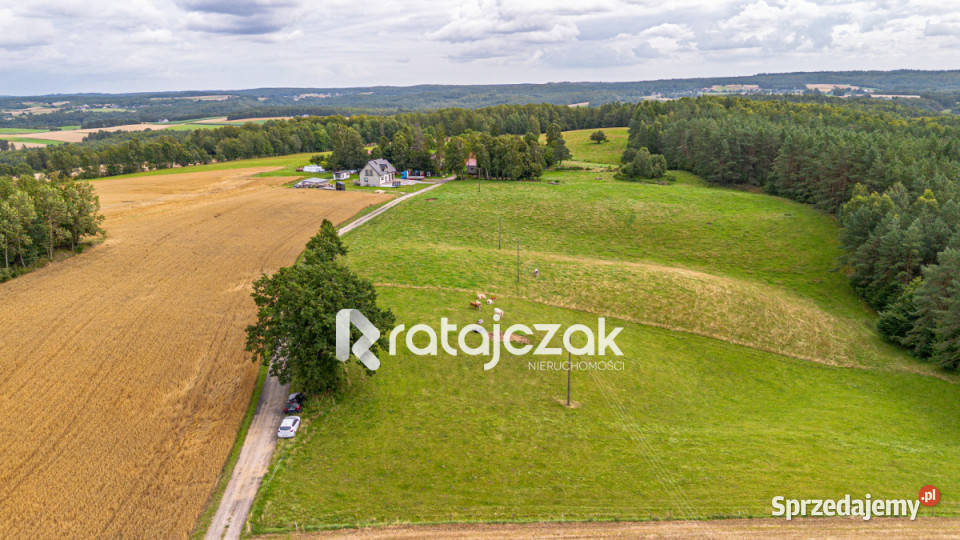 Grunt Milwino 3111m2 Sprzedaż