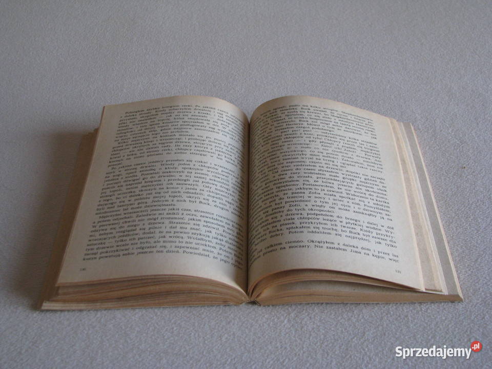 Przygody Hucka Mark Twain Brzegi sprzedam