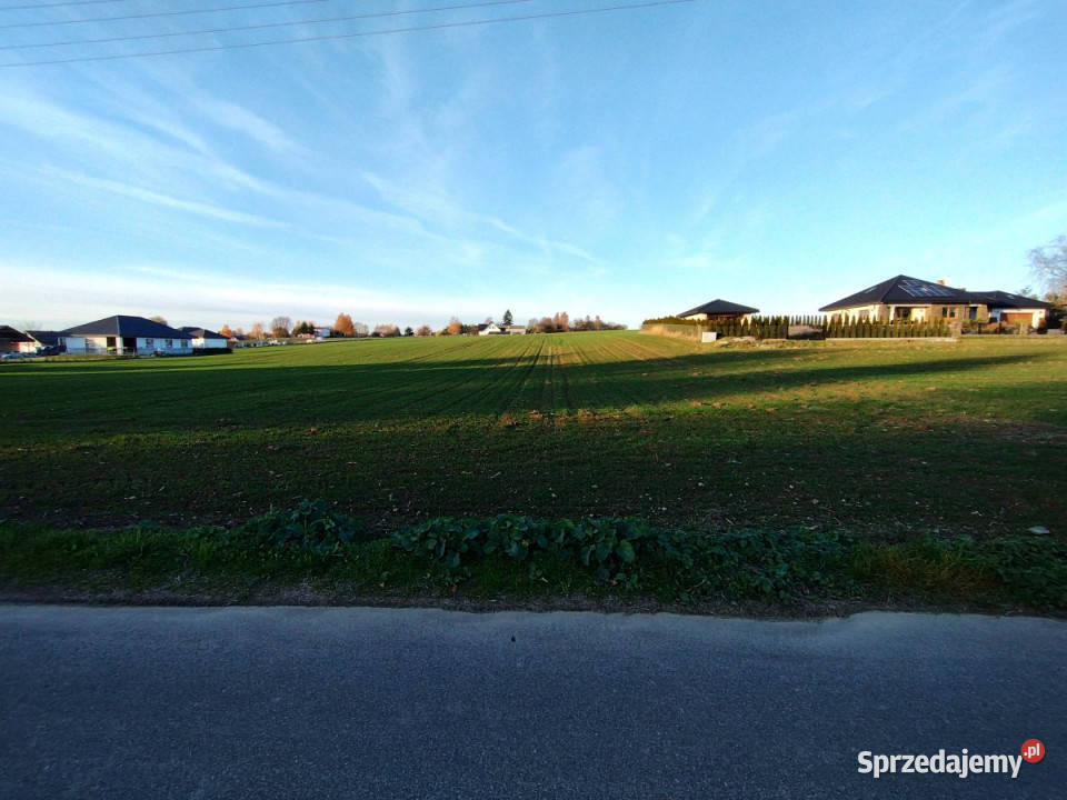 sprzedaży działki Panieńszczyzna 1836m2 lubelskie