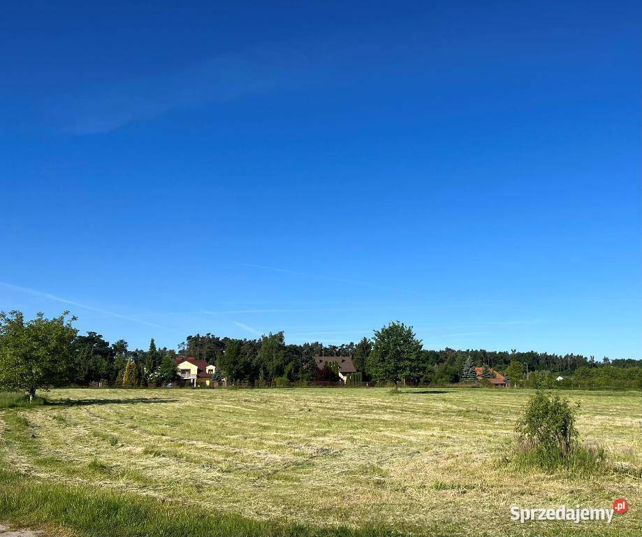 Sprzedam skoszoną trawę prosto z pola