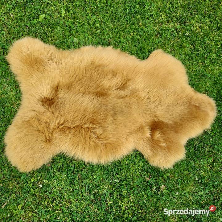 Skóra Owcza Naturalna Kolor Musztardowy Skóry małopolskie Szaflary