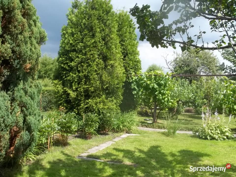 Ładna działka ROD Jeziorem rekreacyjna Szczecin