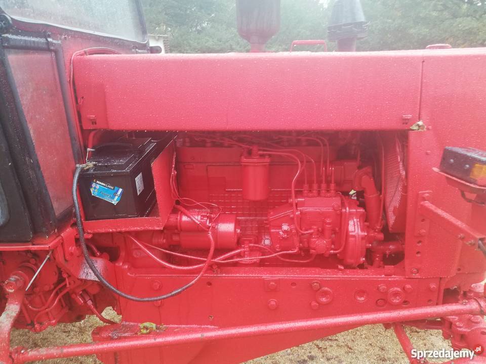 Sprzedam białoruś jumz 6kl Koszalin