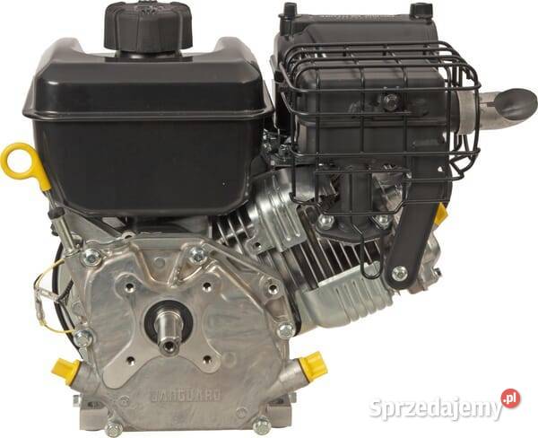 Silnik wał poziomy 65 Vanguard jednocylindrowy Kamionna