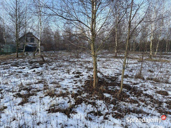 Duża działka na leśnym osiedlu w Miłoszycach Miłoszyce