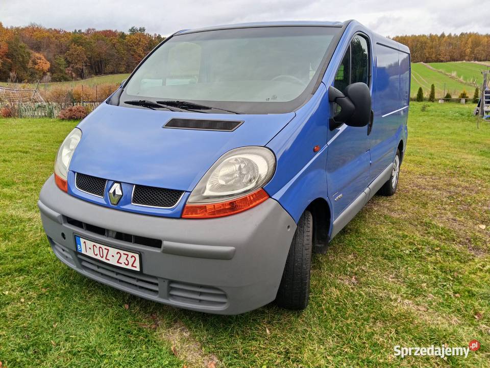 Renault Trafic nieuszkodzony