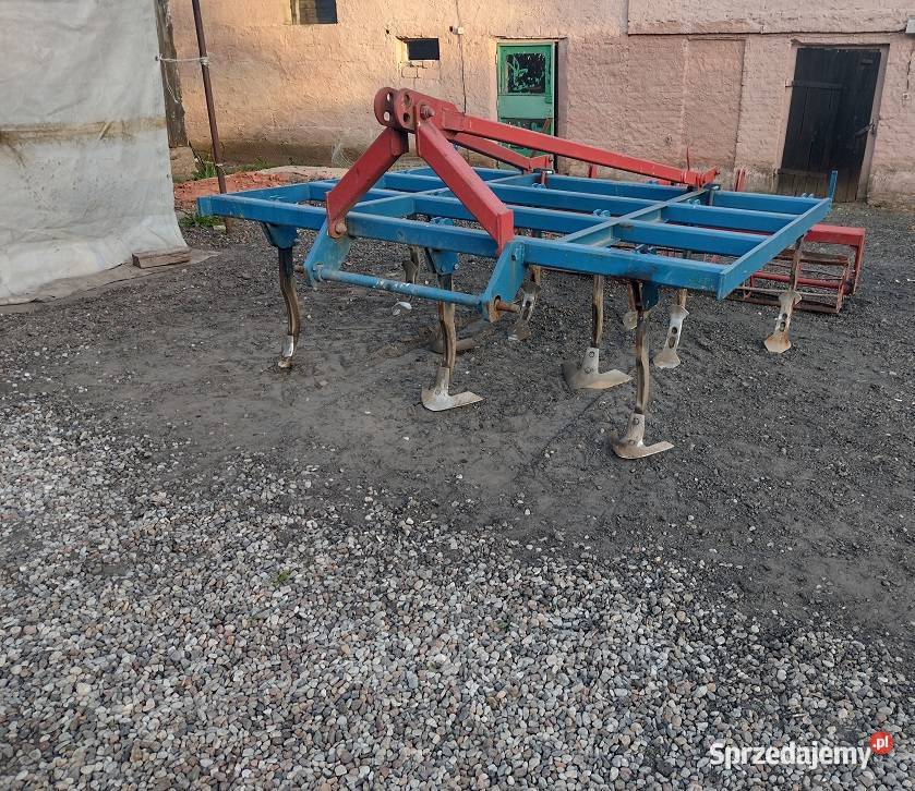 Gruber Ścierniskowy 11 łap wałek wielkopolskie Wilczyn