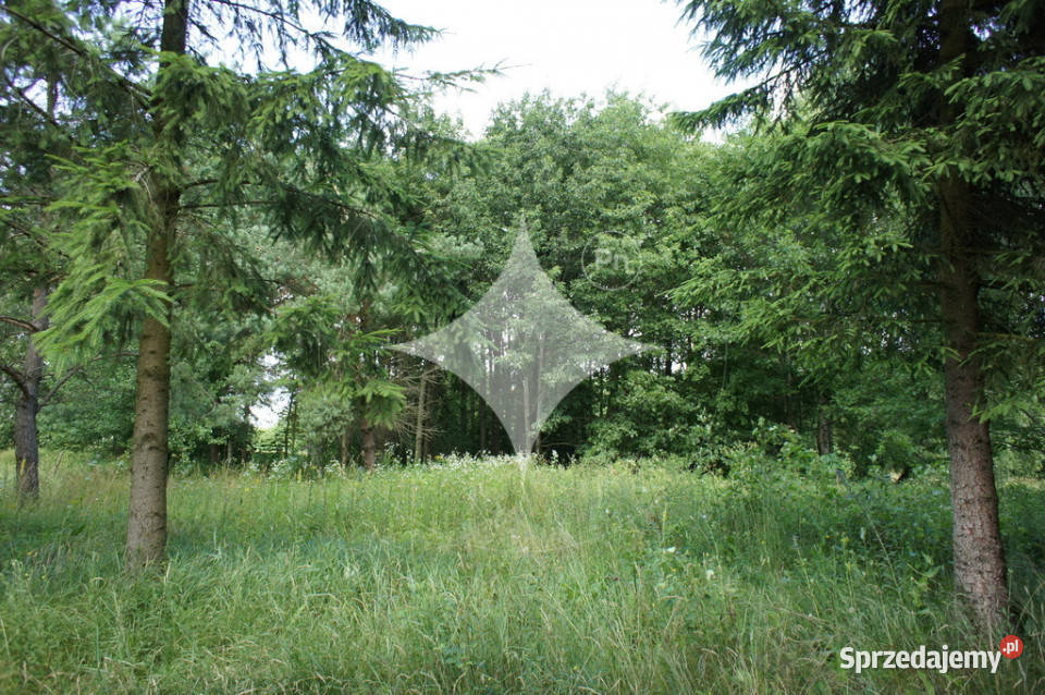 Działka rolnobudowlana j Tajno Orzechówka 30m