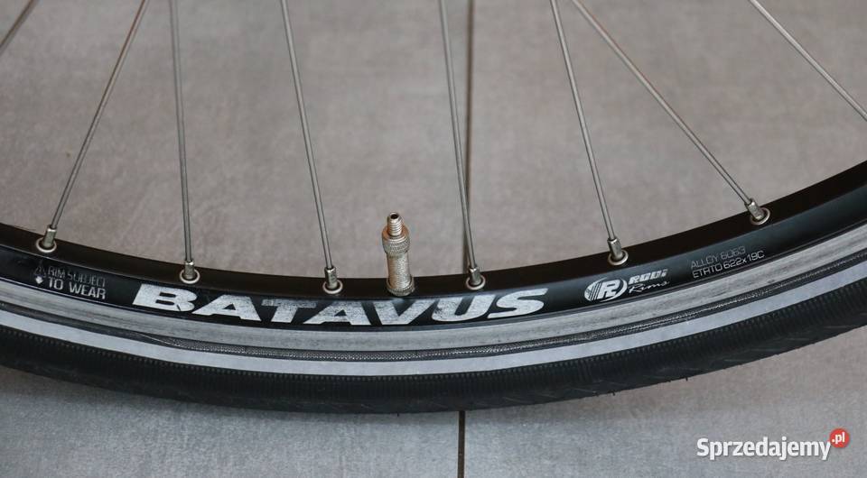 Rower damski Batavus San Remo D 61 RATY I inne Milanówek