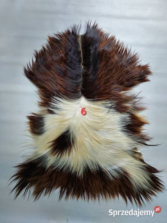 Skóry z Kóz Naturalne Skóry Dekoracyjne Skóra Szaflary