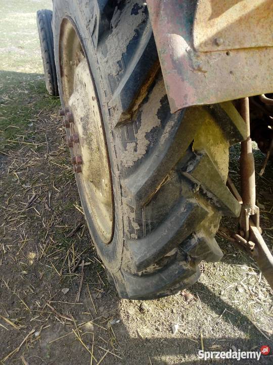 Ursus c 328 Golub-Dobrzyń