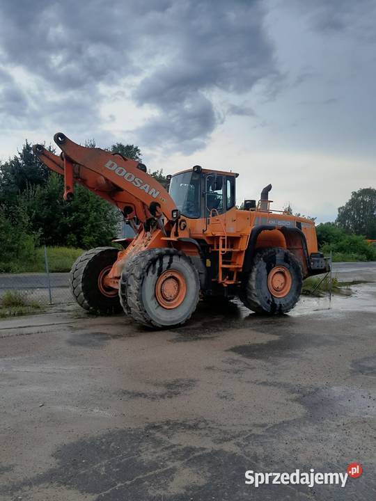 Doosan DL 500 Chojna sprzedam