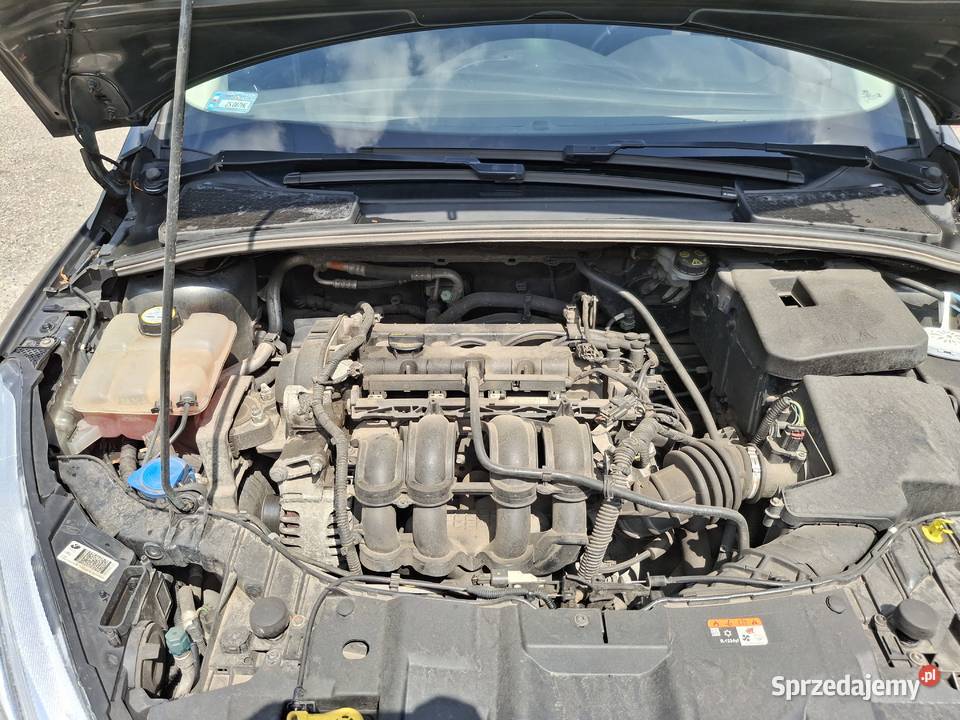 Ford Focus 16 125 bezwypadkowy benzyna Szczecin sprzedam