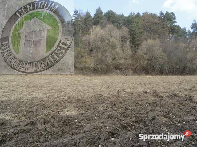 Sprzedaż działki RoztokaBrzeziny 900m2 88zł/m2 Sprzedaż Roztoka-Brzeziny