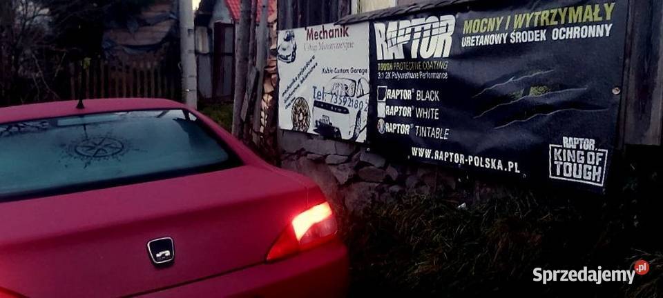 Lakierowanie RAPTOR Cobra Predator Rrangers Off Rabka-Zdrój