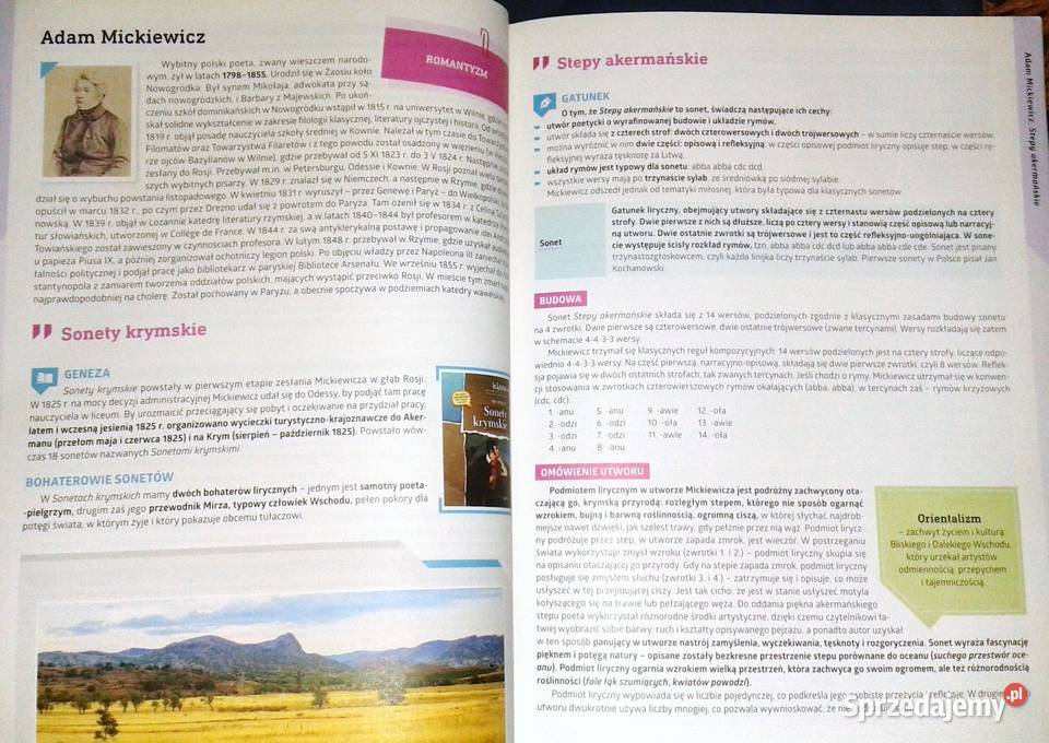 Język polski Egzamin ósmoklasisty na 100 Chełm