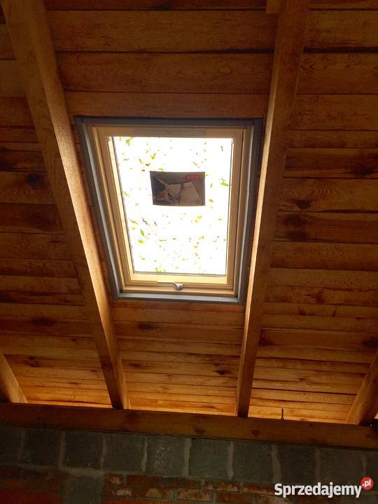 MPDACH BLACHARSTWODEKARSTWO Września