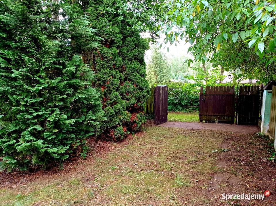 DWA DOMY POD LASEM CAŁOROCZNE OKAZJA