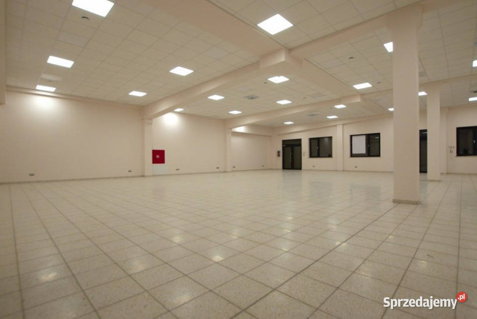 wynajmu lokalu Kielce 330m2