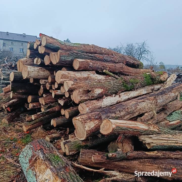Drewno opałowe kominkowe dąb Trzebnica