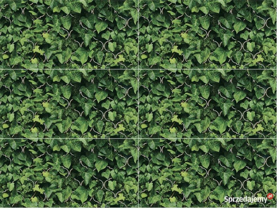 Inserto dekor szklany Dream zielony 30x60 Opoczno