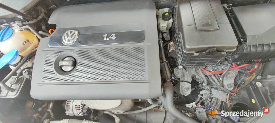 Volkswagen Golf 5 2005 r 14 benzyna śląskie Świętochłowice