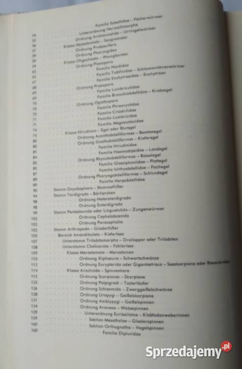 URANIA TIERREICH Annelida bis Chaetognatha Hajnówka