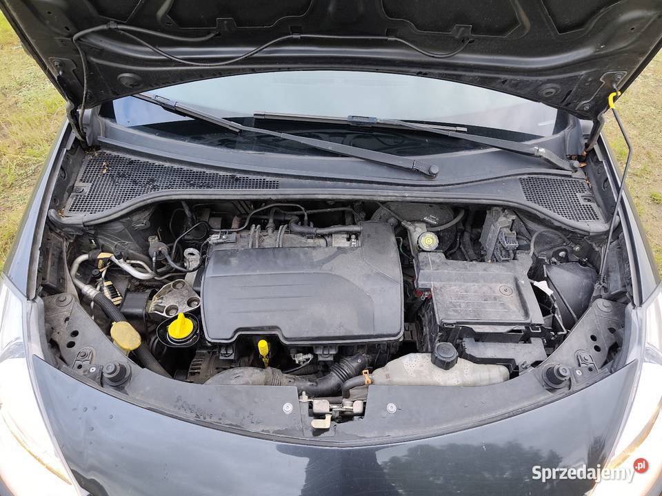 Renault Clio III 12 benzyna Dzbanki