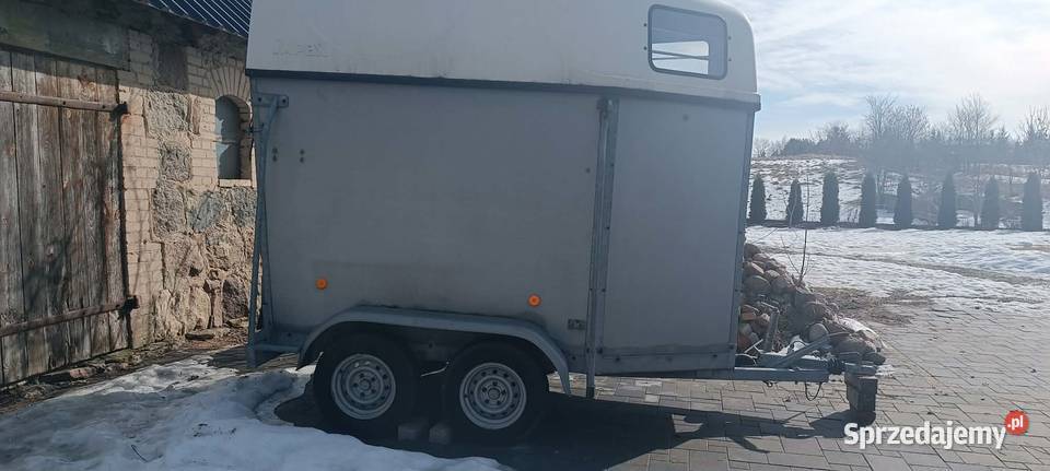 Przyczepka do koni 910 Przyczepy i naczepy