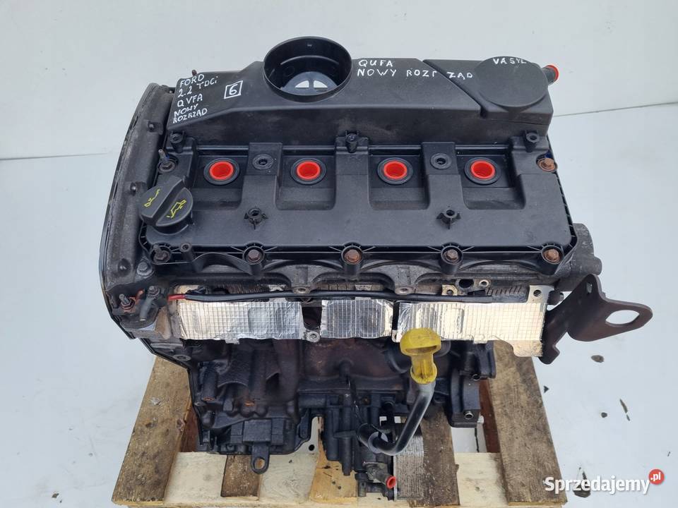 SILNIK SERWISIE Ford Transit VII MK7 22 TDCI 110 Rudka