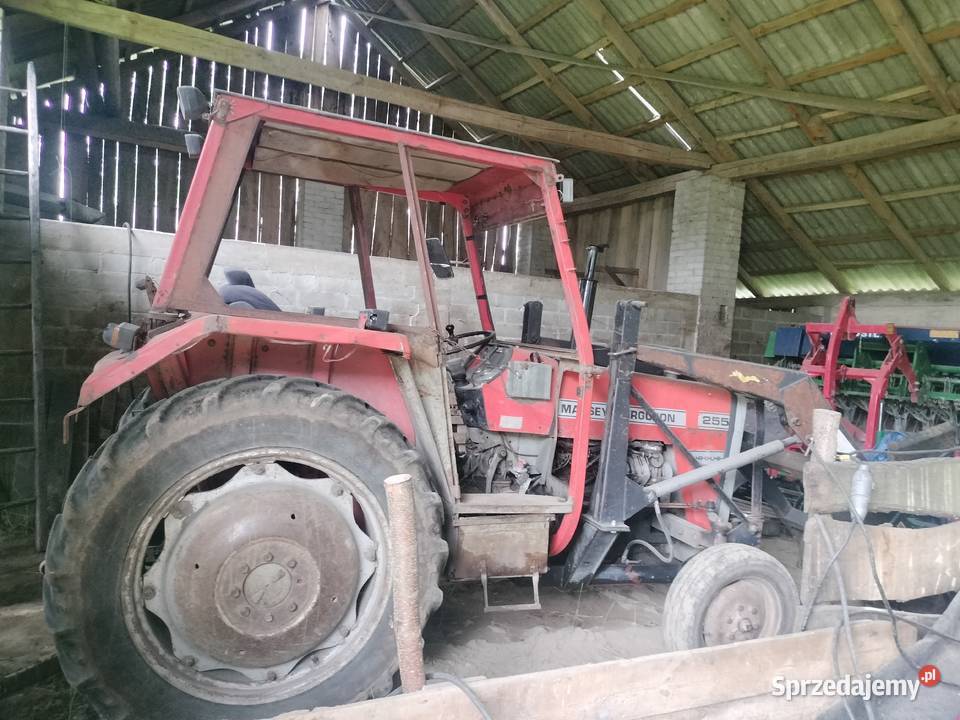 Ciągnik Massey Ferguson lubelskie Wierzbica