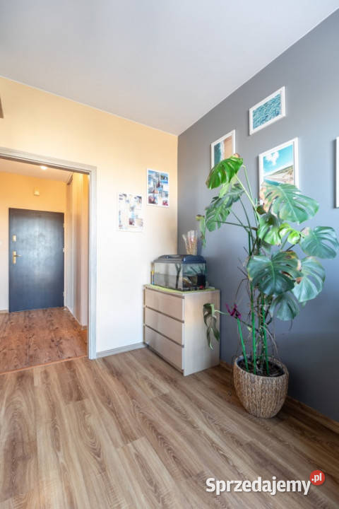 Przyjdź Z Walizkami I Zamieszkaj Zaraz 11304zł/m2 Łódź