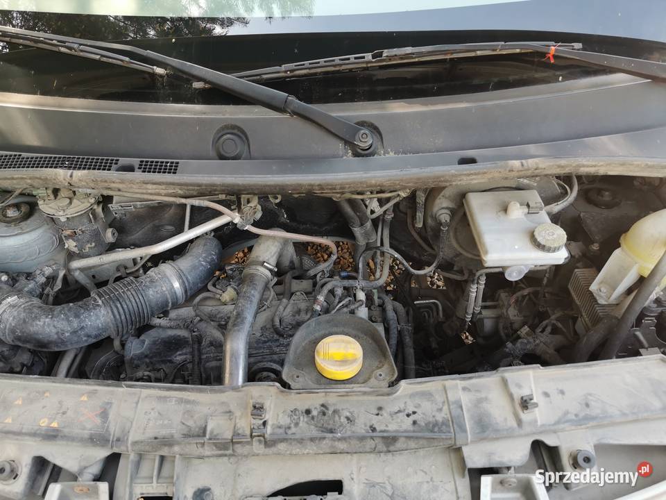 Renault Master Zadbany Brak RDZY Dąbrowa Tarnowska