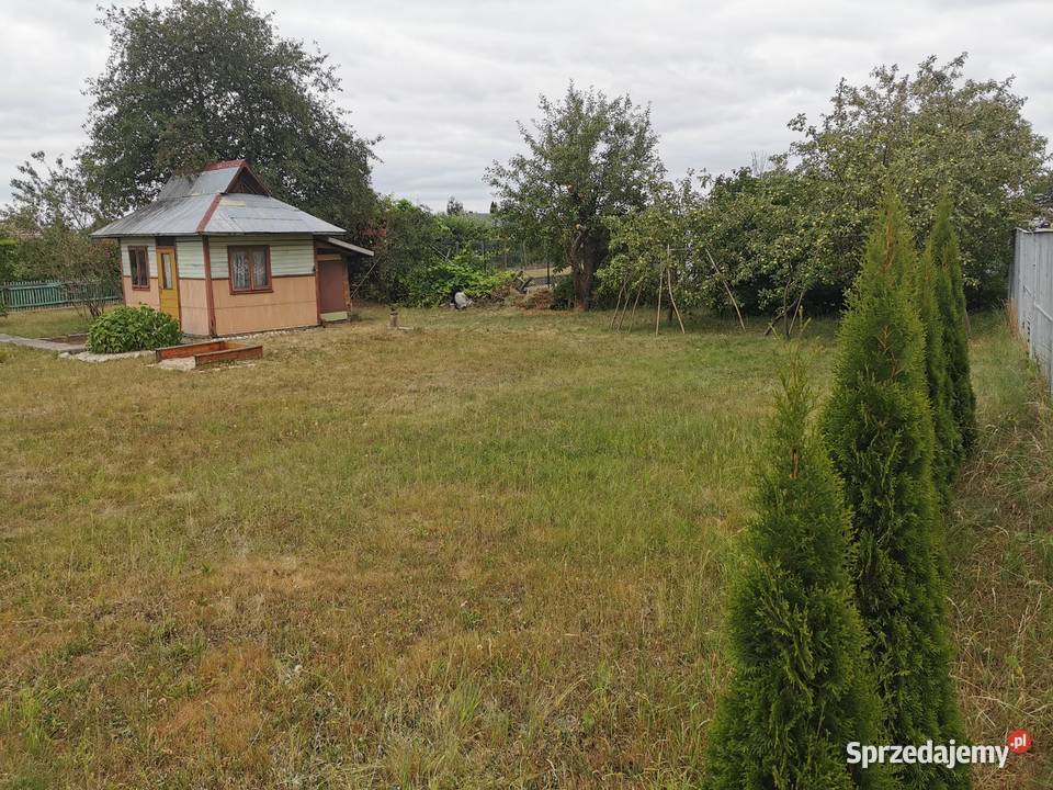 Działka rekreacyjna OR Lotnik Mielec Sprzedaż Sprzedaż