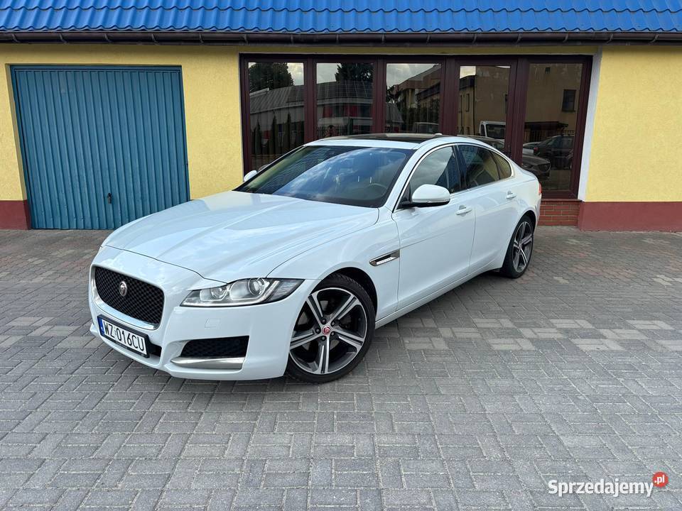 Jaguar XF 20d 2015r Biała Perła OKAZJA Zamość