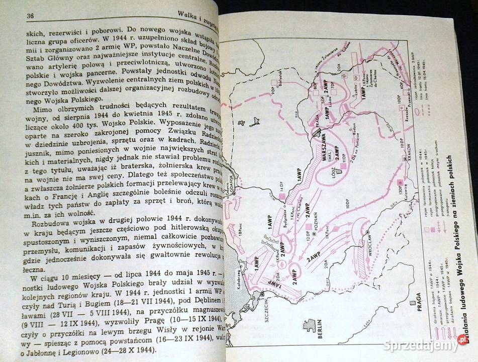 Walka i zwycięstwo Wkład narodu polskiego Chełm sprzedam