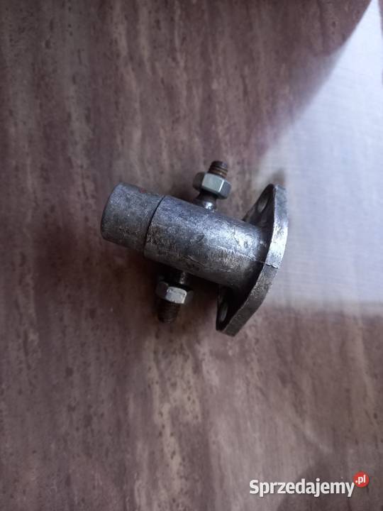 Kruciec zak rys Pozostałe Sokołów Podlaski