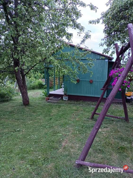 Działka ogrodowa SZAROTKA Ełk